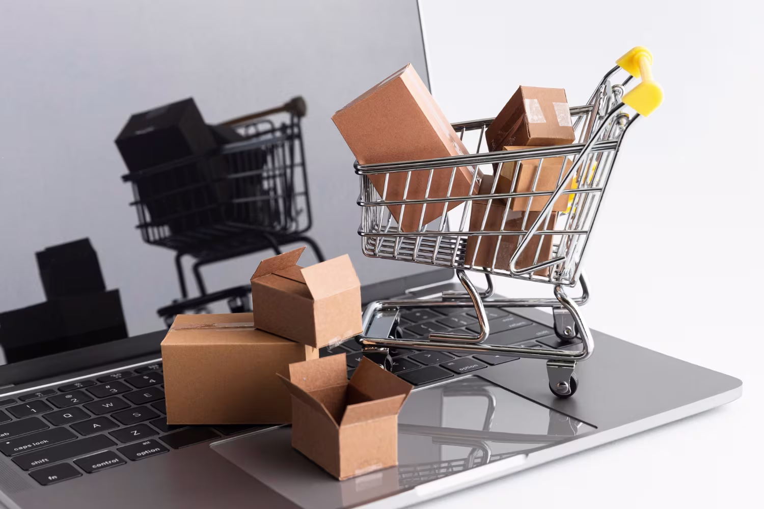 Finty Online Store